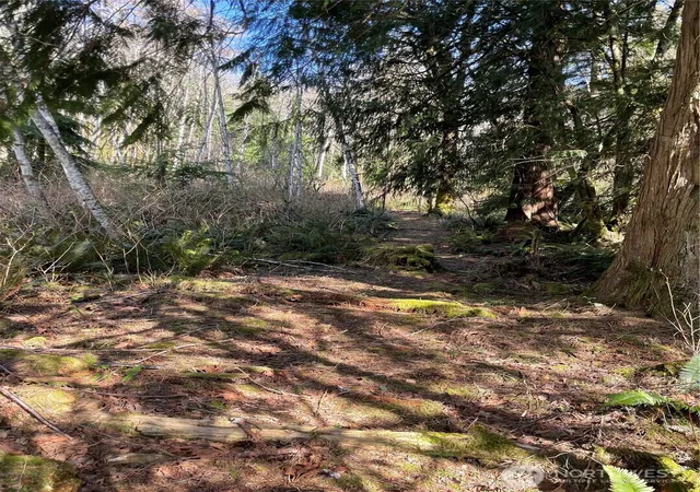 Photo 2 of Land for sale at (Undisclosed), Arlington, WA 98223 | MLS# NWM2519623 | Listing updated on 2026-09-21