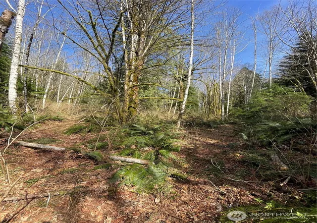 Photo 3 of Land for sale at (Undisclosed), Arlington, WA 98223 | MLS# NWM2519623 | Listing updated on 2026-09-21