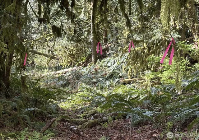 Photo 3 of Land for sale at (Undisclosed), Arlington, WA 98223 | MLS# NWM2519623 | Listing updated on 2026-09-21