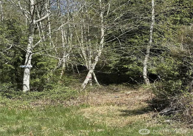 Photo 4 of Land for sale at (Undisclosed), Arlington, WA 98223 | MLS# NWM2519623 | Listing updated on 2026-09-21