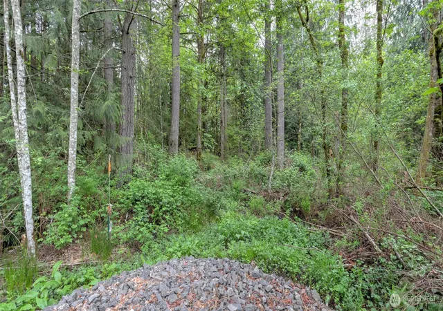 Photo 3 of Land for sale at 0 SE 311th Court, Kent, WA 98042 | MLS# NWM2519705 | Listing updated on 2026-09-21