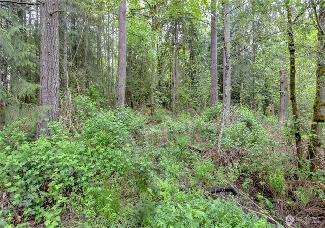Photo 4 of Land for sale at 0 SE 311th Court, Kent, WA 98042 | MLS# NWM2519705 | Listing updated on 2026-09-21