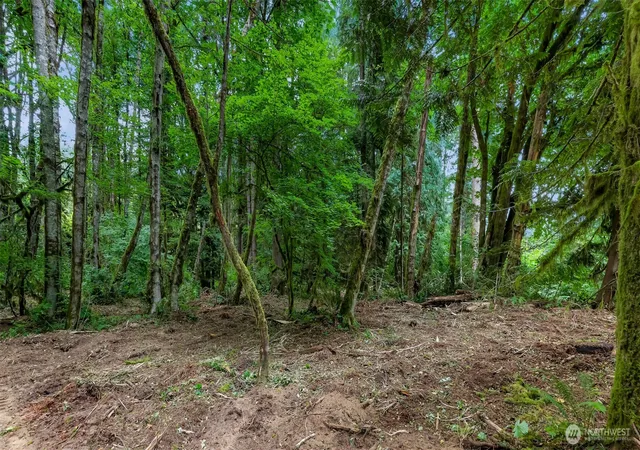 Photo 3 of Land for sale at 0 Xx Yeager Rd, Concrete, WA 98237 | MLS# NWM2519887 | Listing updated on 2026-09-25