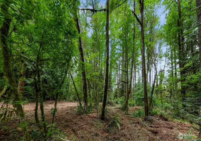 Photo 4 of Land for sale at 0 Xx Yeager Rd, Concrete, WA 98237 | MLS# NWM2519887 | Listing updated on 2026-09-25