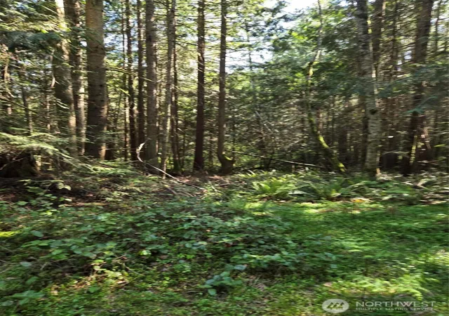 Photo 2 of Land for sale at 146 Humble Hl (parcels 2 & 3) Rd, Sequim, WA 98382 | MLS# NWM2519989 | Listing updated on 2026-09-21
