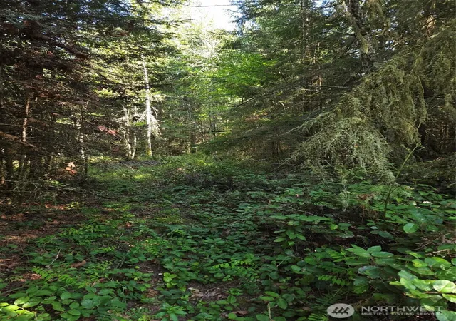 Photo 3 of Land for sale at 146 Humble Hl (parcels 2 & 3) Rd, Sequim, WA 98382 | MLS# NWM2519989 | Listing updated on 2026-09-21
