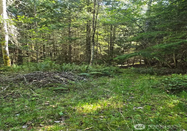 Photo 3 of Land for sale at 146 Humble Hl (parcels 2 & 3) Rd, Sequim, WA 98382 | MLS# NWM2519989 | Listing updated on 2026-09-21