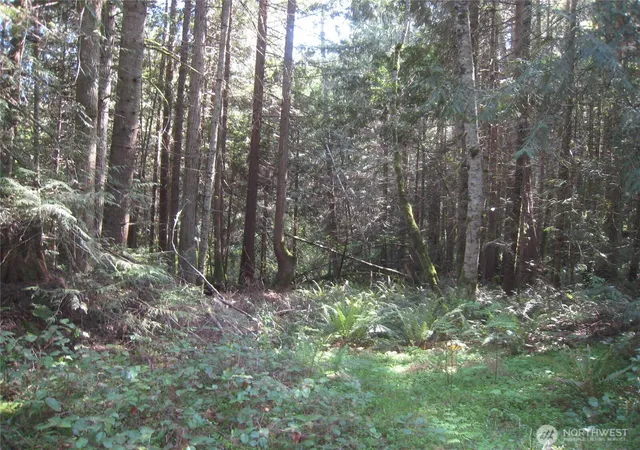 Photo 4 of Land for sale at 146 Humble Hl (parcels 2 & 3) Rd, Sequim, WA 98382 | MLS# NWM2519989 | Listing updated on 2026-09-21