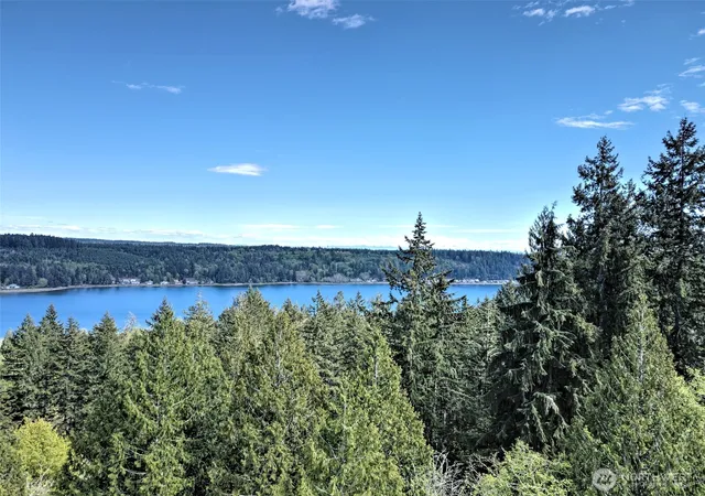 Photo 3 of Land for sale at 19381 E State Hwy 3, Allyn, WA 98524 | MLS# NWM2520304 | Listing updated on 2026-09-21