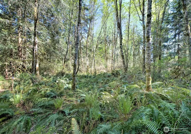 Photo 4 of Land for sale at 19381 E State Hwy 3, Allyn, WA 98524 | MLS# NWM2520304 | Listing updated on 2026-09-21