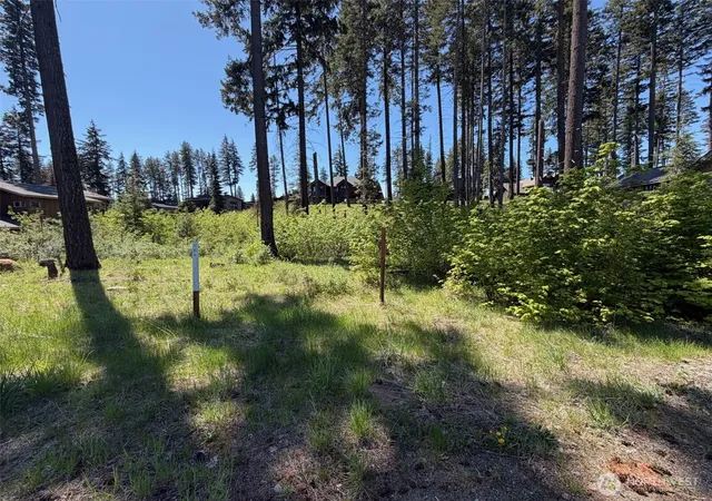 Photo 3 of Land for sale at 28 Legacy Trl, Cle Elum, WA 98922 | MLS# NWM2520496 | Listing updated on 2026-09-21
