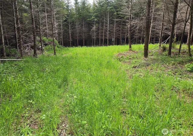 Photo 1 of Land for sale at 7 Beaver Hl Ln, Montesano, WA 98563 | MLS# NWM2520601 | Listing updated on 2026-09-21