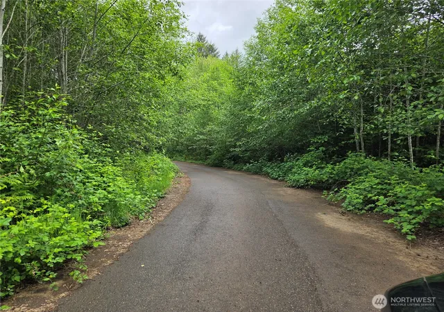 Photo 3 of Land for sale at 7 Beaver Hl Ln, Montesano, WA 98563 | MLS# NWM2520601 | Listing updated on 2026-09-21