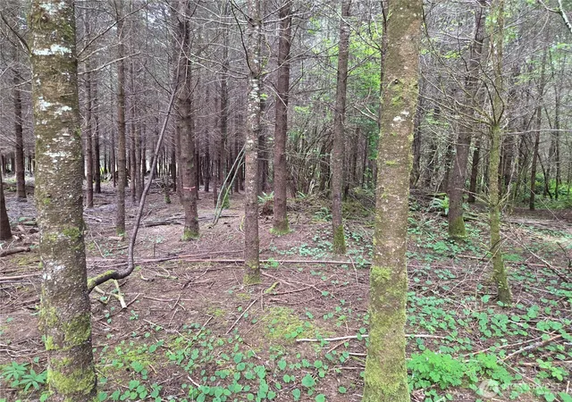 Photo 2 of Land for sale at 13 Beaver Hl Ln, Montesano, WA 98563 | MLS# NWM2520603 | Listing updated on 2026-09-21