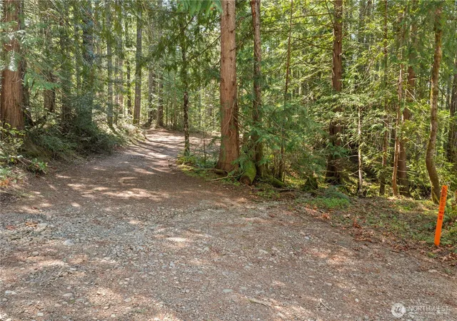 Photo 4 of Land for sale at 0 N White Tail Trl, Hoodsport, WA 98548 | MLS# NWM2520653 | Listing updated on 2026-09-21