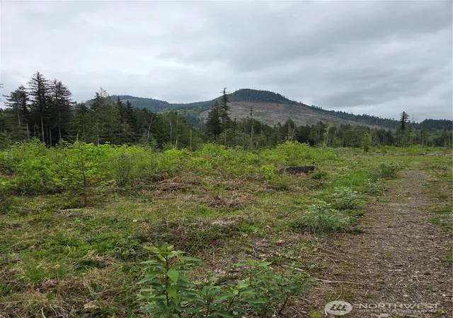 Land for sale at 0 Wa 547, Sumas, WA 98295 | MLS# NWM2520772