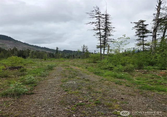 Photo 2 of Land for sale at 0 Wa 547, Sumas, WA 98295 | MLS# NWM2520772 | Listing updated on 2026-09-21