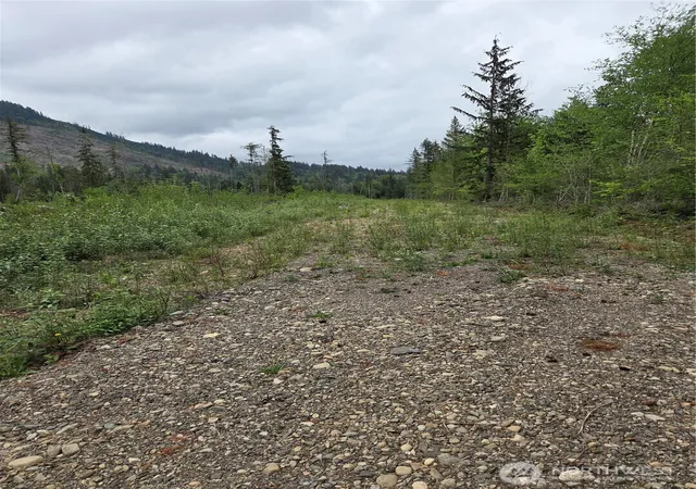 Photo 3 of Land for sale at 0 Wa 547, Sumas, WA 98295 | MLS# NWM2520772 | Listing updated on 2026-09-21