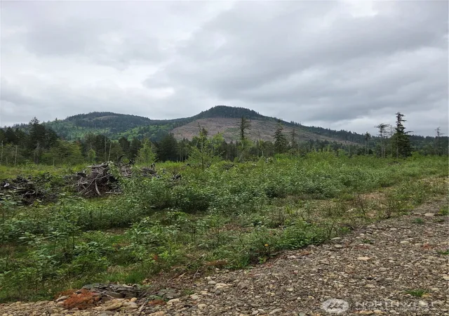 Photo 3 of Land for sale at 0 Wa 547, Sumas, WA 98295 | MLS# NWM2520772 | Listing updated on 2026-09-21