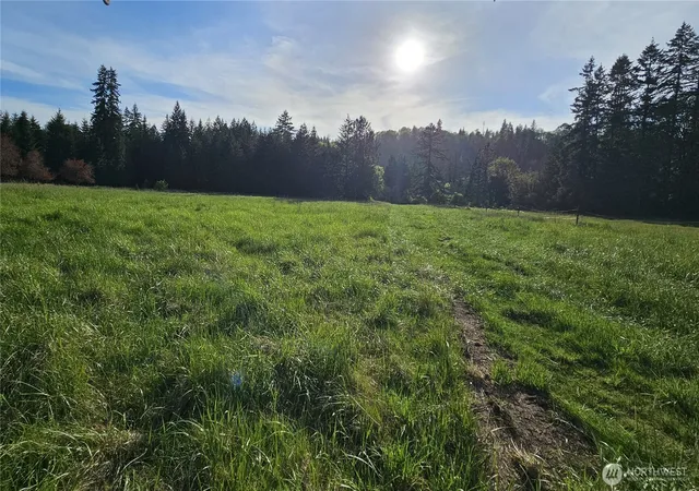 Photo 3 of Land for sale at 39 Lot 19 Middle Earth Ln, Elma, WA 98541 | MLS# NWM2520783 | Listing updated on 2026-09-21