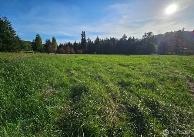 Photo 3 of Land for sale at 39 Lot 19 Middle Earth Ln, Elma, WA 98541 | MLS# NWM2520783 | Listing updated on 2026-09-21