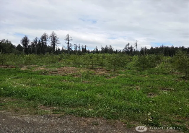 Photo 1 of Land for sale at 0 Windon Ln, Maple Falls, WA 98266 | MLS# NWM2520821 | Listing updated on 2026-09-21