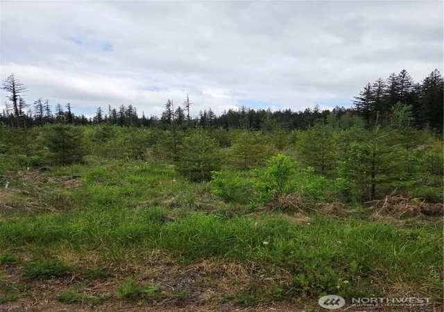Photo 2 of Land for sale at 0 Windon Ln, Maple Falls, WA 98266 | MLS# NWM2520821 | Listing updated on 2026-09-21