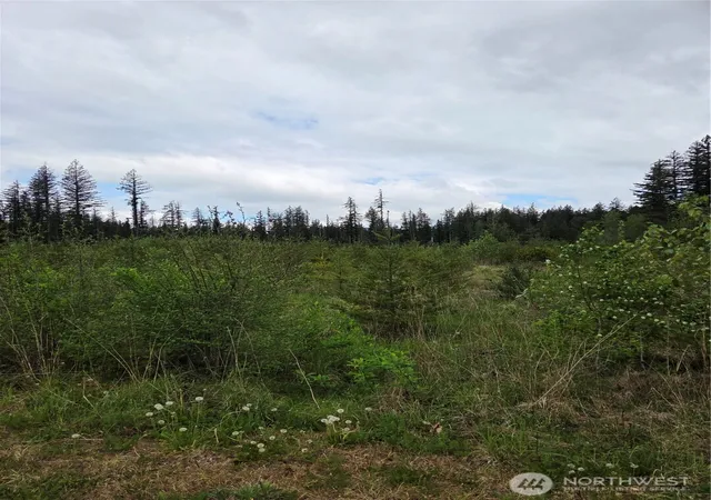 Photo 3 of Land for sale at 0 Windon Ln, Maple Falls, WA 98266 | MLS# NWM2520821 | Listing updated on 2026-09-21