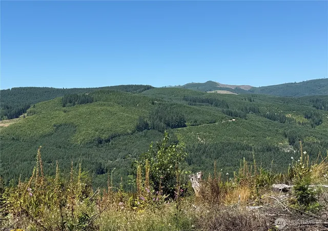 Photo 3 of Land for sale at 3725 Little Kalama River Rd #E, Woodland, WA 98674 | MLS# NWM2520829 | Listing updated on 2026-09-21