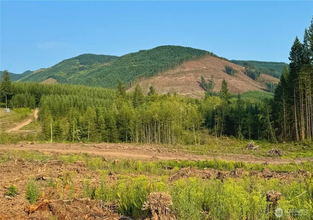 Photo 3 of Land for sale at 3725 Little Kalama River Rd #E, Woodland, WA 98674 | MLS# NWM2520829 | Listing updated on 2026-09-21