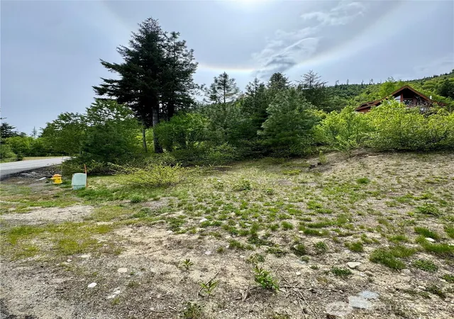 Photo 2 of Land for sale at 20705 Miracle Mile, Leavenworth, WA 98826 | MLS# NWM2520871 | Listing updated on 2026-09-21