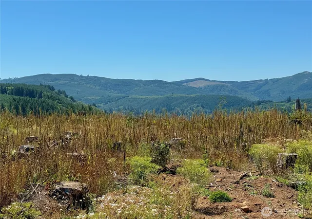 Photo 2 of Land for sale at 3700 Little Kalama River Rd #6, Woodland, WA 98674 | MLS# NWM2520891 | Listing updated on 2026-09-21