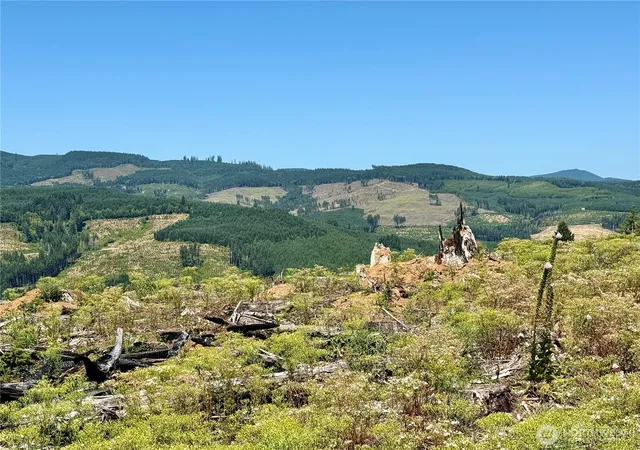 Photo 3 of Land for sale at 3700 Little Kalama River Rd #6, Woodland, WA 98674 | MLS# NWM2520891 | Listing updated on 2026-09-21