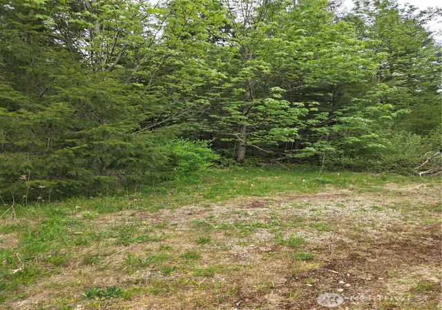 Photo 3 of Sale Pending at 0 Wa 547 Rd, Sumas, WA 98295 | MLS# NWM2520957 | Listing updated on 2026-08-27