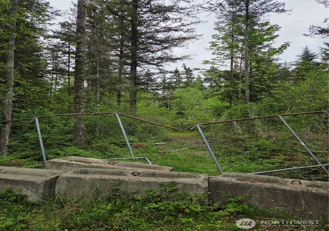 Photo 3 of Sale Pending at 0 Wa 547 Rd, Sumas, WA 98295 | MLS# NWM2520957 | Listing updated on 2026-08-27