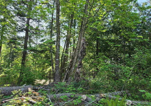 Photo 1 of Sale Pending at 4225 Jimi Hendrix Way, Bellingham, WA 98226 | MLS# NWM2520977 | Listing updated on 2026-09-30