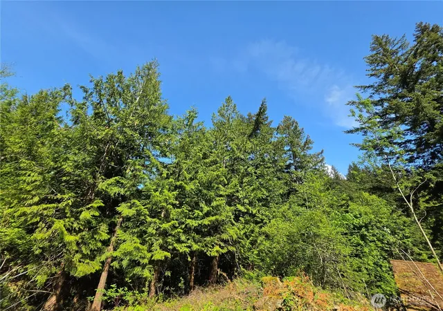 Photo 3 of Sale Pending at 4225 Jimi Hendrix Way, Bellingham, WA 98226 | MLS# NWM2520977 | Listing updated on 2026-09-30