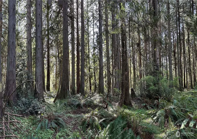 Photo 1 of Land for sale at 0 Nw Lot 31 Lakeness, Poulsbo, WA 98370 | MLS# NWM2521026 | Listing updated on 2026-09-21