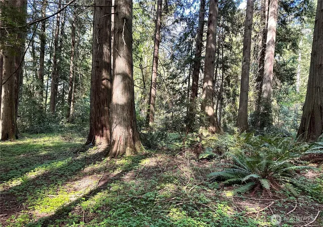 Photo 2 of Land for sale at 0 Nw Lot 31 Lakeness, Poulsbo, WA 98370 | MLS# NWM2521026 | Listing updated on 2026-09-21