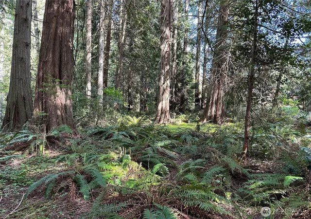 Photo 3 of Land for sale at 0 Nw Lot 31 Lakeness, Poulsbo, WA 98370 | MLS# NWM2521026 | Listing updated on 2026-09-21