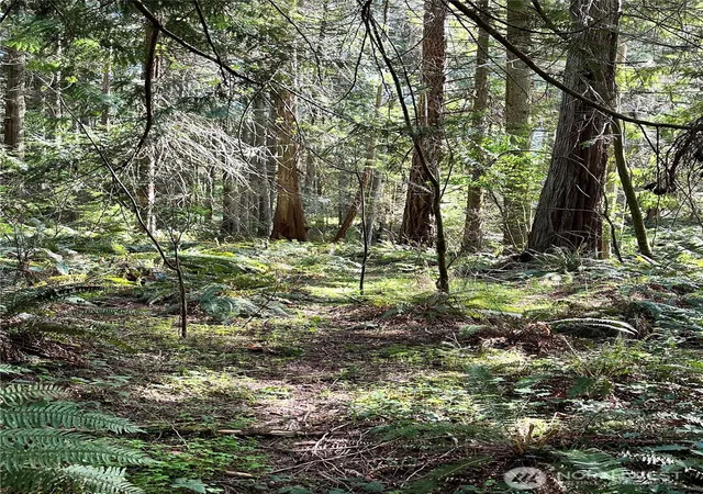 Photo 3 of Land for sale at 0 NW Lot 31 Lakeness, Poulsbo, WA 98370 | MLS# NWM2521026 | Listing updated on 2026-09-21