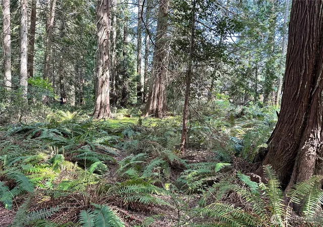 Photo 4 of Land for sale at 0 NW Lot 31 Lakeness, Poulsbo, WA 98370 | MLS# NWM2521026 | Listing updated on 2026-09-21
