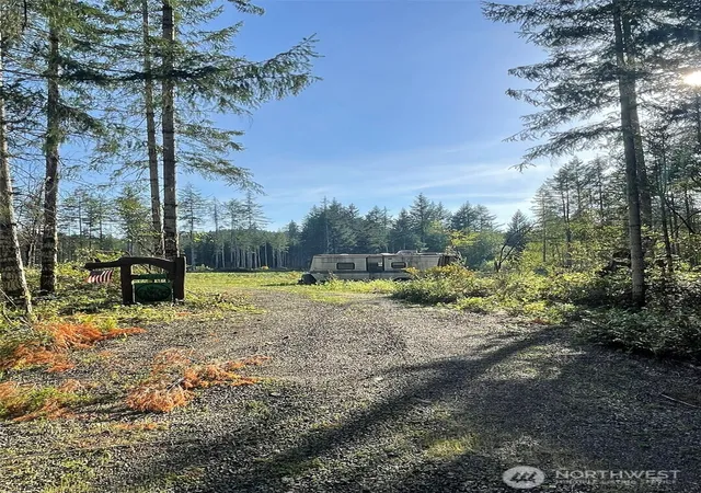Photo 3 of Land for sale at 14253 W Cloquallum Rd, Elma, WA 98541 | MLS# NWM2521078 | Listing updated on 2026-09-21