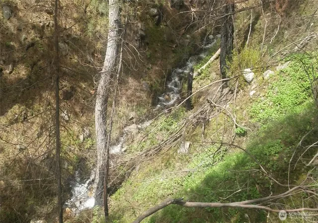 Photo 3 of Land for sale at 0 Tbd N Frk Salmon Crk Rd, Conconully, WA 98819 | MLS# NWM2521120 | Listing updated on 2026-09-21