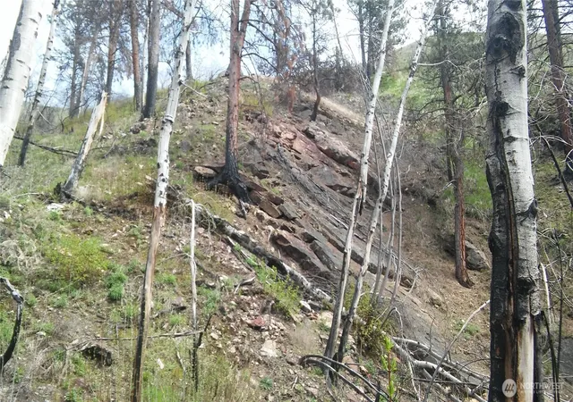 Photo 3 of Land for sale at 0 Tbd N Frk Salmon Crk Rd, Conconully, WA 98819 | MLS# NWM2521120 | Listing updated on 2026-09-21