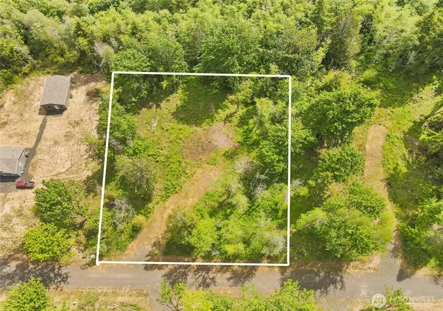 Photo 3 of Land for sale at 91 E Cascara Cvs Ln, Shelton, WA 98584 | MLS# NWM2521140 | Listing updated on 2026-09-21