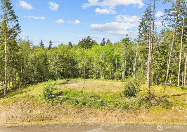 Photo 2 of Land for sale at 120 E Cascara Cvs Ln, Shelton, WA 98584 | MLS# NWM2521141 | Listing updated on 2026-09-21