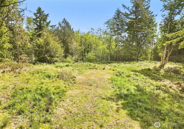 Photo 2 of Land for sale at 131 E Cascara Cvs Ln, Shelton, WA 98584 | MLS# NWM2521143 | Listing updated on 2026-09-21