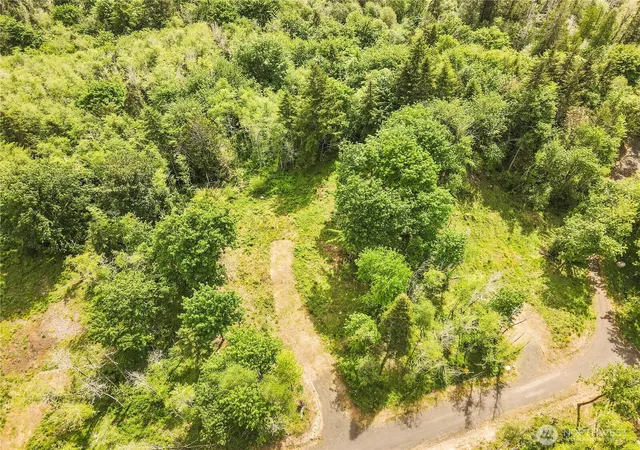 Photo 3 of Land for sale at 131 E Cascara Cvs Ln, Shelton, WA 98584 | MLS# NWM2521143 | Listing updated on 2026-09-21