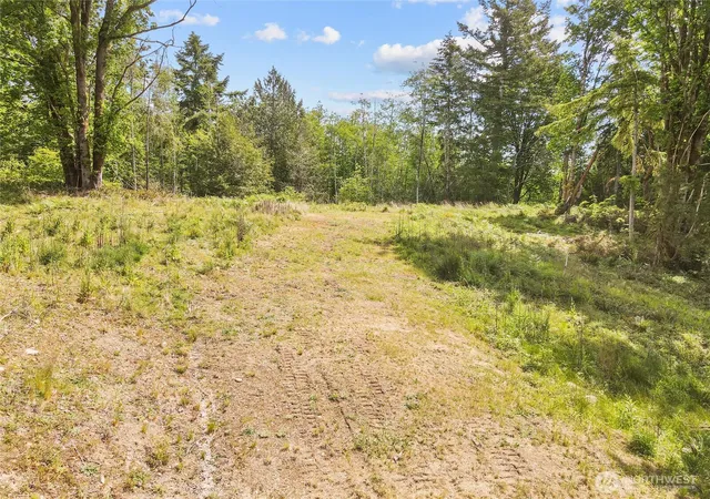 Photo 3 of Land for sale at 131 E Cascara Cvs Ln, Shelton, WA 98584 | MLS# NWM2521143 | Listing updated on 2026-09-21